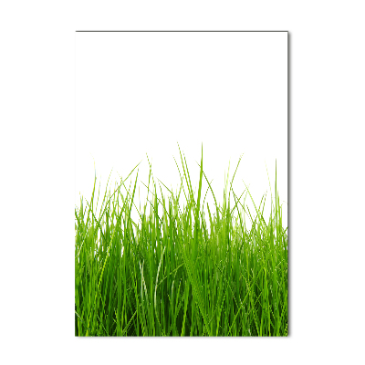 Impresión en metacrilato de alta calidad vertical Hierba verde