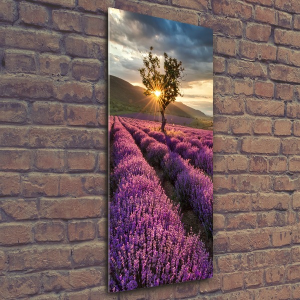 Cuadro decorativo en acrílico brillante vertical campo de lavanda