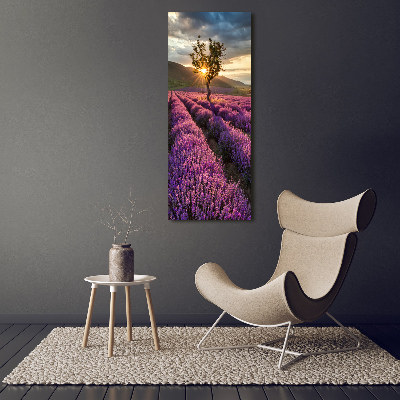 Cuadro decorativo en acrílico brillante vertical campo de lavanda