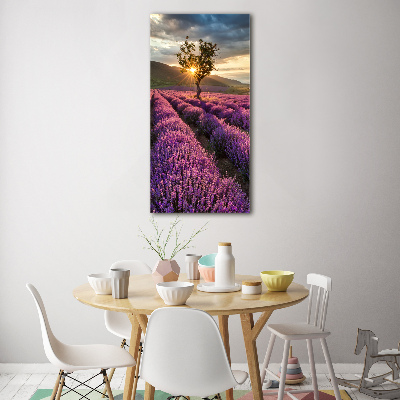 Cuadro decorativo en acrílico brillante vertical campo de lavanda