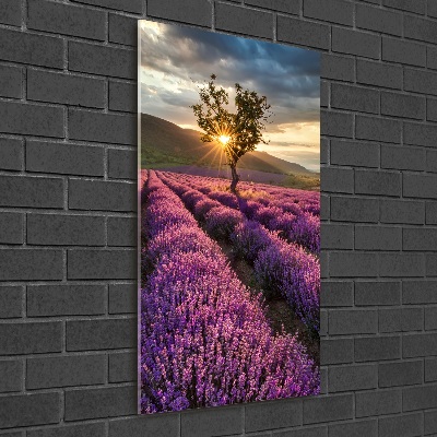 Cuadro decorativo en acrílico brillante vertical campo de lavanda