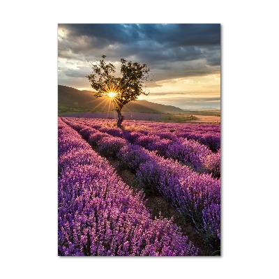 Cuadro decorativo en acrílico brillante vertical campo de lavanda