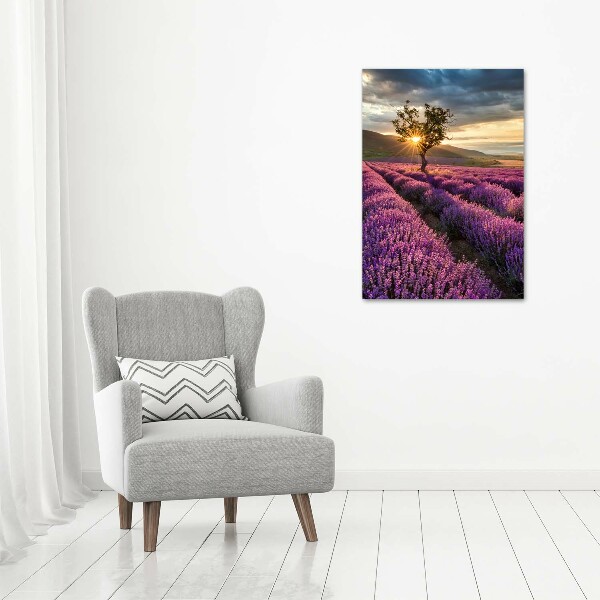 Cuadro decorativo en acrílico brillante vertical campo de lavanda
