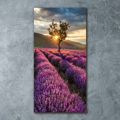 Cuadro decorativo en acrílico brillante vertical campo de lavanda