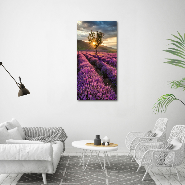 Cuadro decorativo en acrílico brillante vertical campo de lavanda