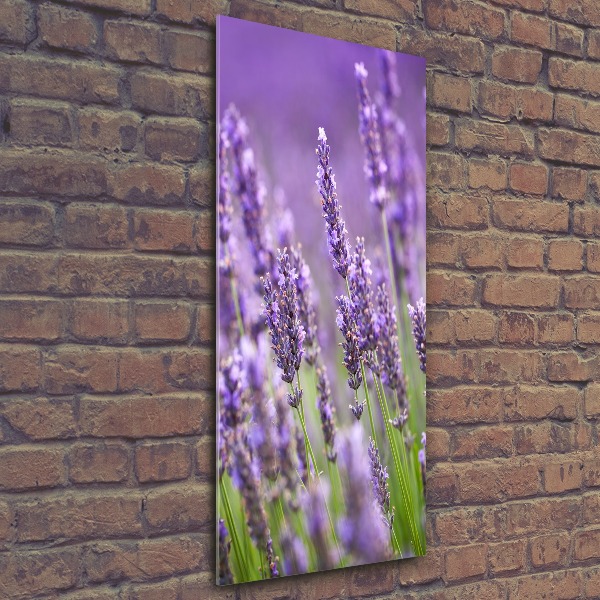 Cuadro de metacrilato moderno efecto cristal vertical campo de lavanda