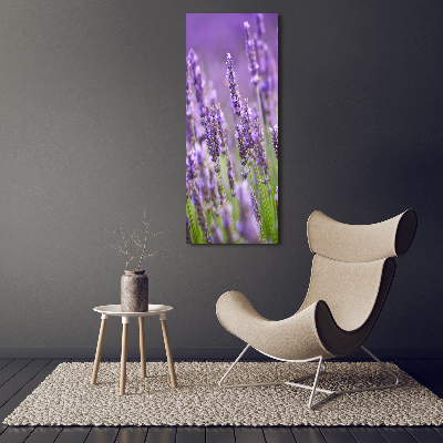 Cuadro de metacrilato moderno efecto cristal vertical campo de lavanda