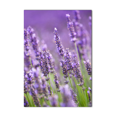 Cuadro de metacrilato moderno efecto cristal vertical campo de lavanda