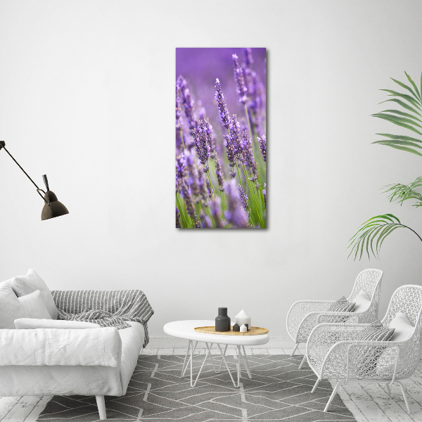 Cuadro de metacrilato moderno efecto cristal vertical campo de lavanda
