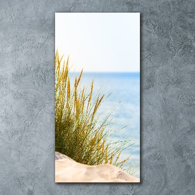 Cuadro decorativo en acrílico brillante vertical Dunas costeras