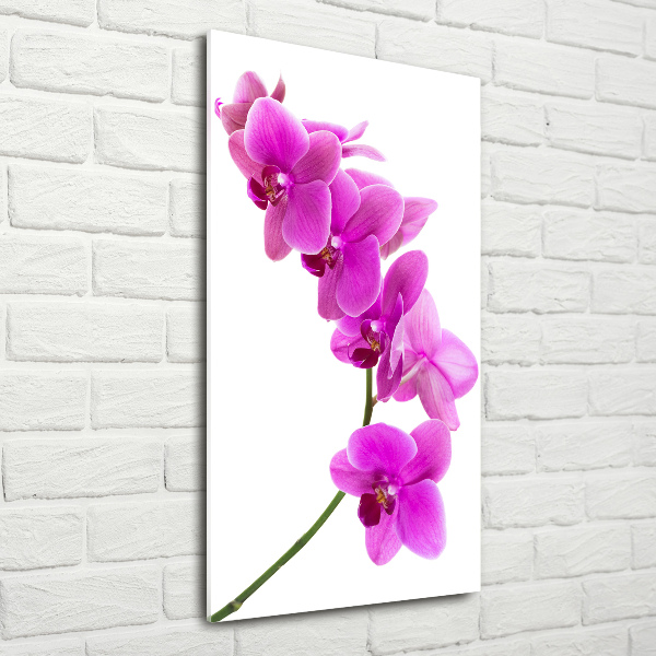 Cuadro decorativo en acrílico brillante vertical Orquídea rosa