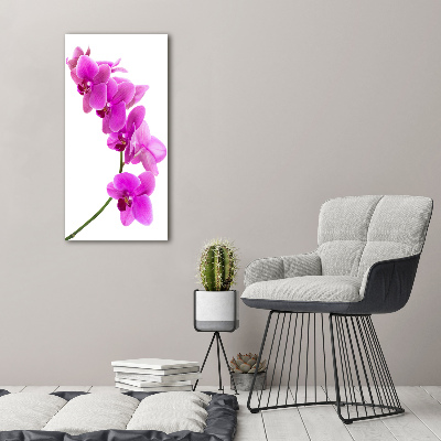 Cuadro decorativo en acrílico brillante vertical Orquídea rosa