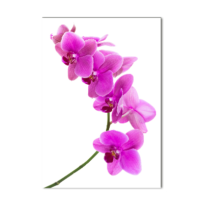 Cuadro decorativo en acrílico brillante vertical Orquídea rosa