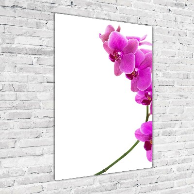 Cuadro decorativo en acrílico brillante vertical Orquídea rosa