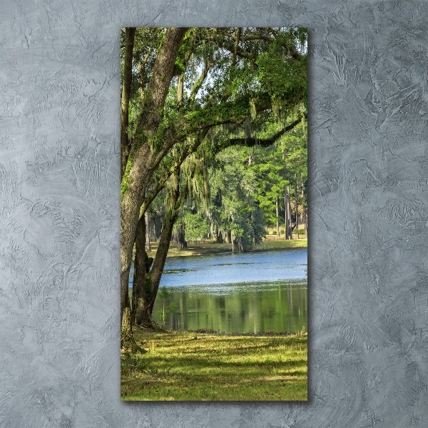 Cuadro de metacrilato vertical Lago en el parque