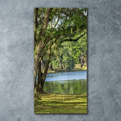Cuadro de metacrilato vertical Lago en el parque