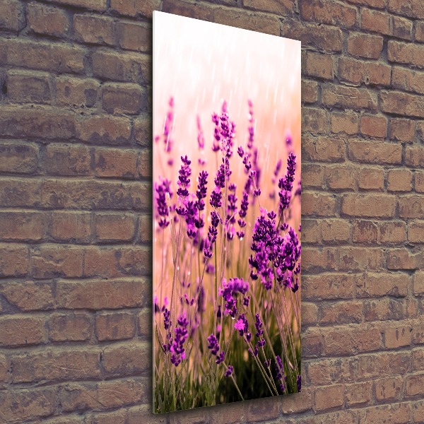 Cuadro decorativo en acrílico brillante vertical campo de lavanda
