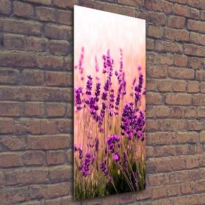Cuadro decorativo en acrílico brillante vertical campo de lavanda