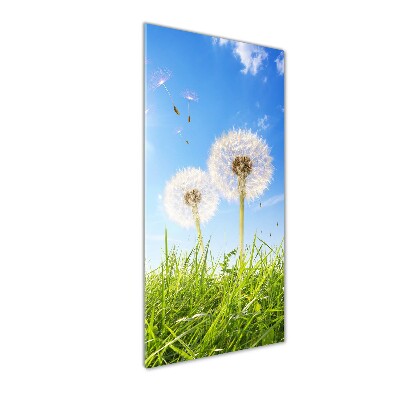 Obraz zdjęcie na scianę pleksi pionowy Dmuchawce na łące