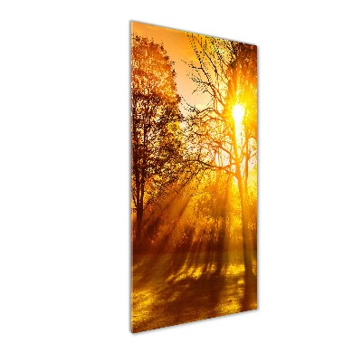 Cuadro de metacrilato moderno efecto cristal vertical Parque en otoño