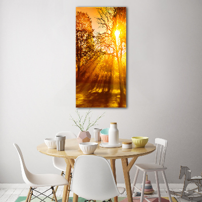 Cuadro de metacrilato moderno efecto cristal vertical Parque en otoño