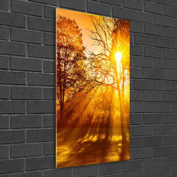 Cuadro de metacrilato moderno efecto cristal vertical Parque en otoño