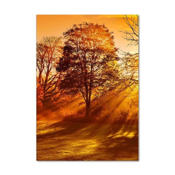 Cuadro de metacrilato moderno efecto cristal vertical Parque en otoño