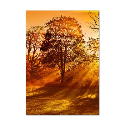 Cuadro de metacrilato moderno efecto cristal vertical Parque en otoño