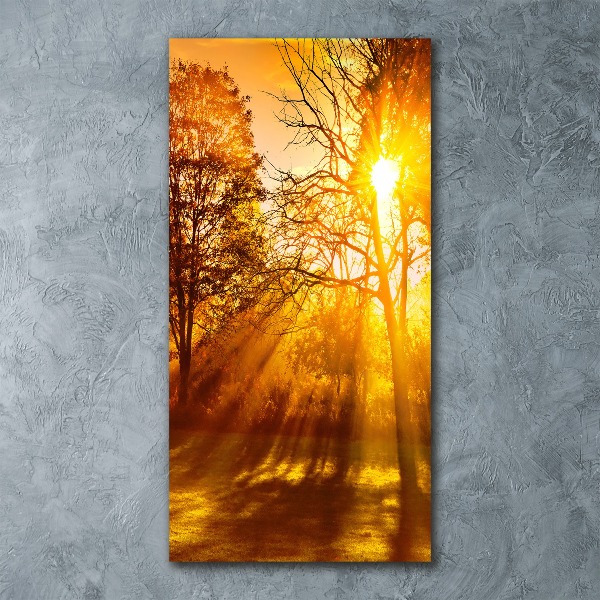 Cuadro de metacrilato moderno efecto cristal vertical Parque en otoño