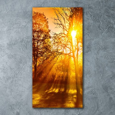 Cuadro de metacrilato moderno efecto cristal vertical Parque en otoño