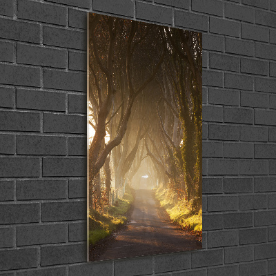 Foto obraz szkło akryl pionowy Ścieżka w lesie