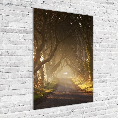 Impresión en metacrilato de alta calidad vertical Camino en el bosque
