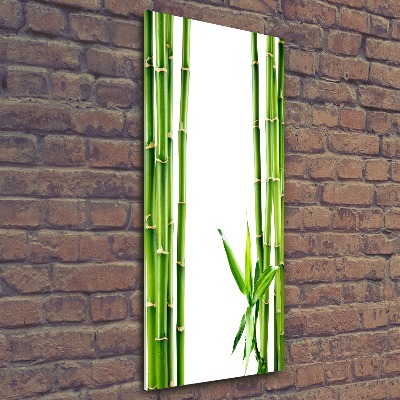 Obraz zdjęcie szkło akryl pionowy Bambus