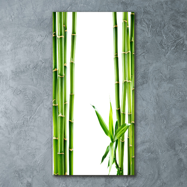 Obraz zdjęcie szkło akryl pionowy Bambus