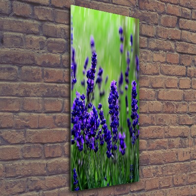 Cuadro decorativo en acrílico brillante vertical campo de lavanda