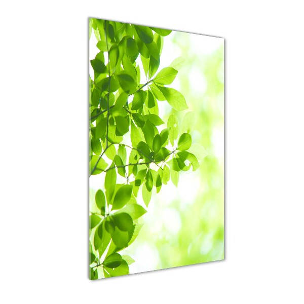 Cuadro de metacrilato vertical hojas verdes