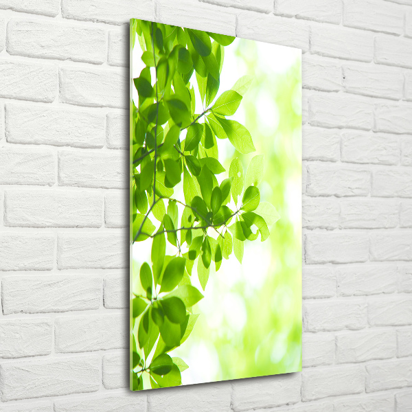 Cuadro de metacrilato vertical hojas verdes