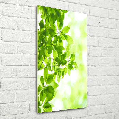 Cuadro de metacrilato vertical hojas verdes