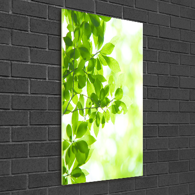 Cuadro de metacrilato vertical hojas verdes
