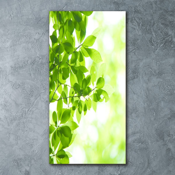 Cuadro de metacrilato vertical hojas verdes