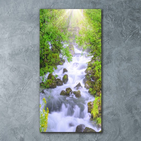 Cuadro decorativo en acrílico brillante vertical arroyo de montaña