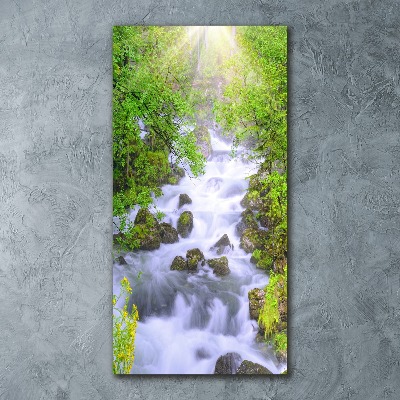 Cuadro decorativo en acrílico brillante vertical arroyo de montaña