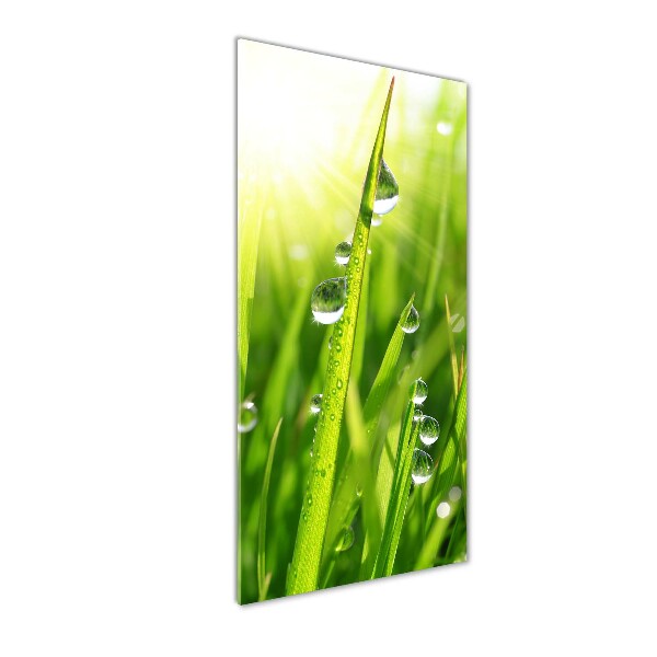 Cuadro decorativo en acrílico brillante vertical Briznas de hierba