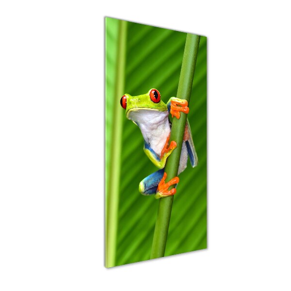 Cuadro de metacrilato moderno efecto cristal vertical Rana arbórea europea
