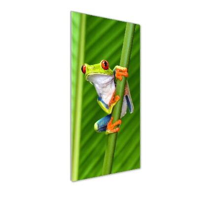 Cuadro de metacrilato moderno efecto cristal vertical Rana arbórea europea