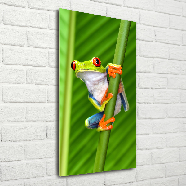 Cuadro de metacrilato moderno efecto cristal vertical Rana arbórea europea