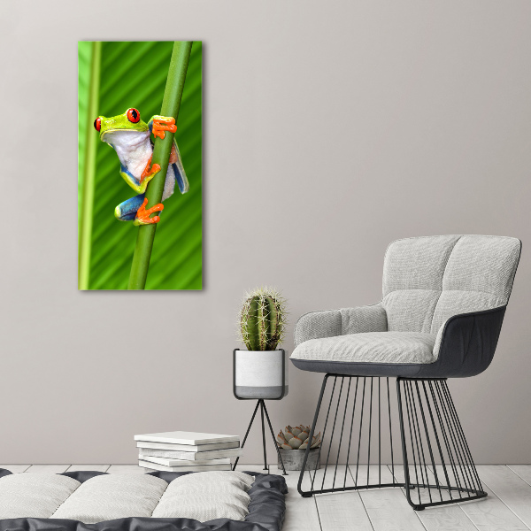 Cuadro de metacrilato moderno efecto cristal vertical Rana arbórea europea