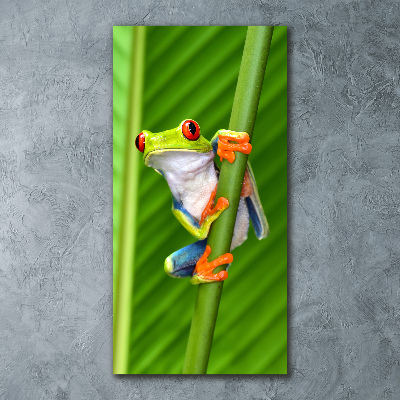 Cuadro de metacrilato moderno efecto cristal vertical Rana arbórea europea