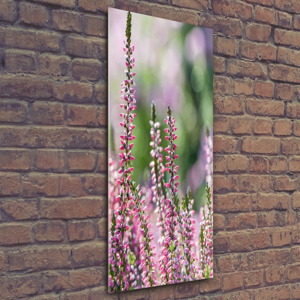 Obraz zdjęcie na scianę pleksi pionowy Wrzos