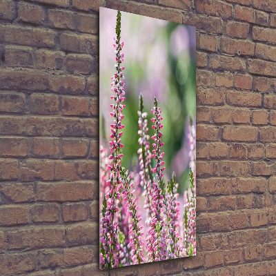 Obraz zdjęcie na scianę pleksi pionowy Wrzos
